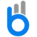 bCast logo